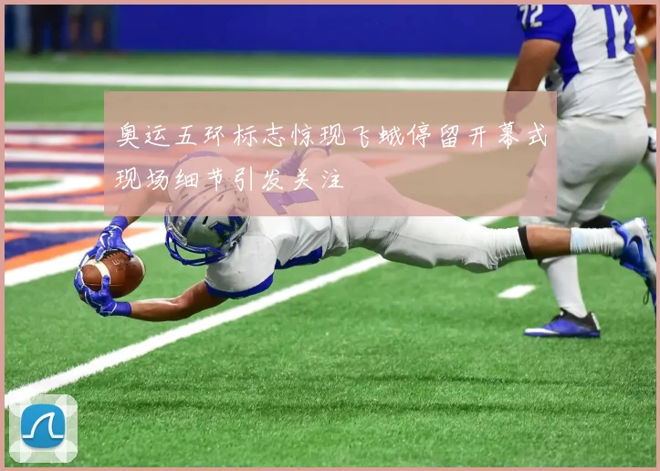 奥运五环标志惊现飞蛾停留开幕式现场细节引发关注