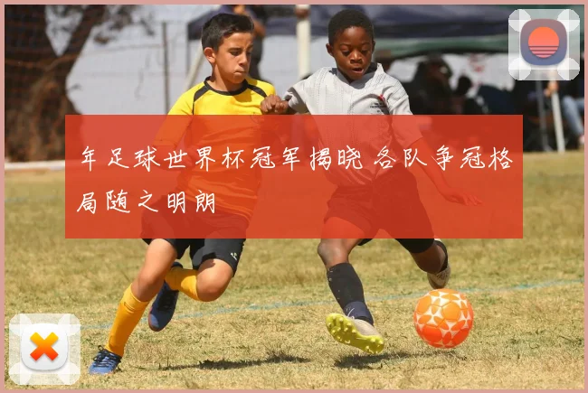 年足球世界杯冠军揭晓 各队争冠格局随之明朗