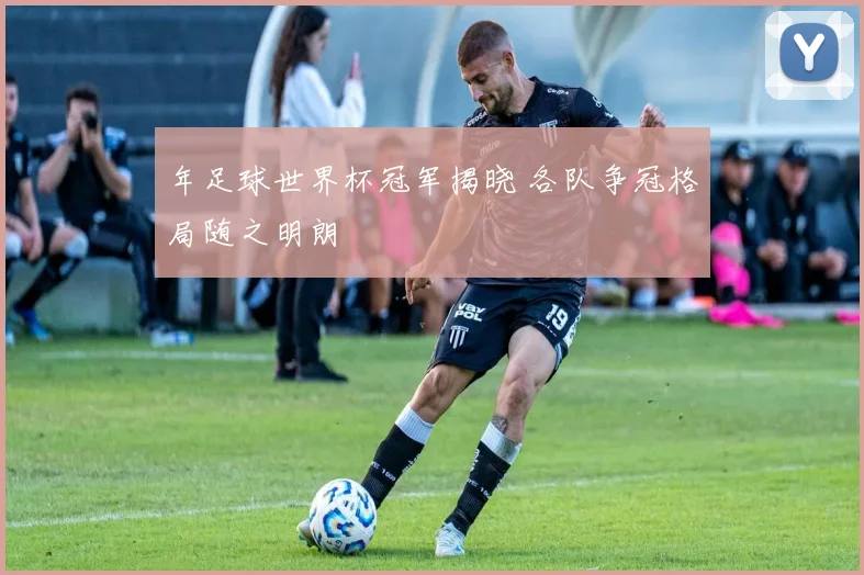 年足球世界杯冠军揭晓 各队争冠格局随之明朗